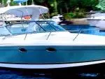 Yacht Rentals