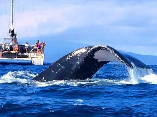 Maalaea Harbor,Maui Yacht Charter