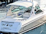 Yacht Rentals