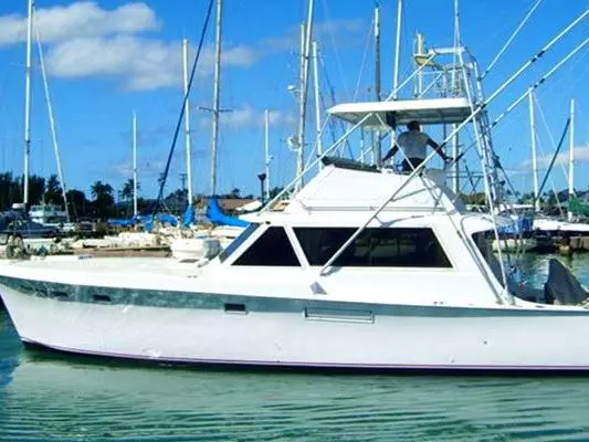 Honolulu Yacht Rentals