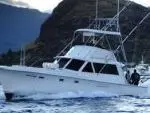 Yacht Rentals Honolulu