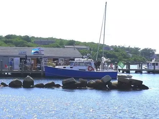 Power Boat other Private Yacht Charter in Martha's Vineyard